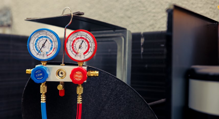 Understanding Temperature Zones